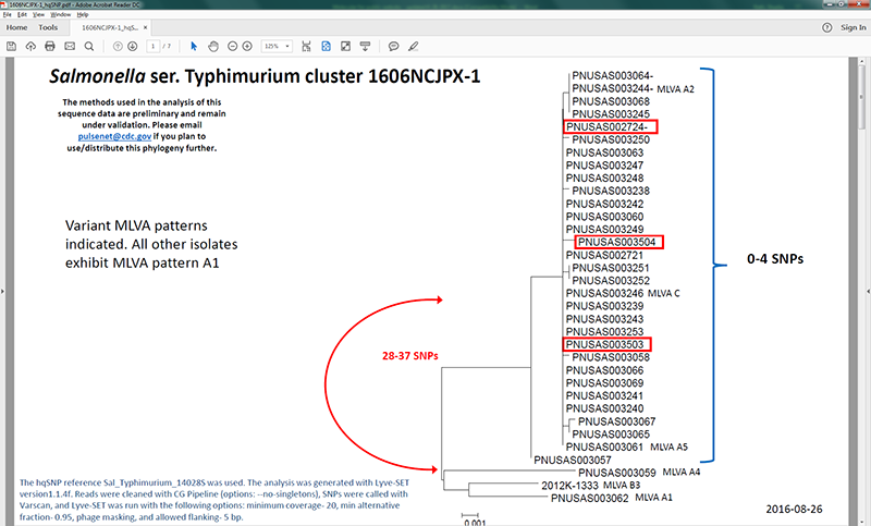 Whole Genome Sequencing (WGS)